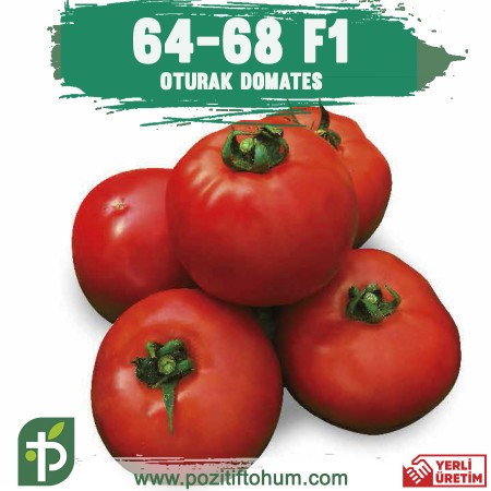 64-68 F1 Oturak Domates Fidesi