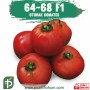 64-68 F1 Oturak Domates Fidesi
