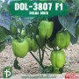 dol-3807-f1-dolma-biber-fidesi