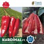 kardinal-f1-kapya-biber-etli-kirmizi
