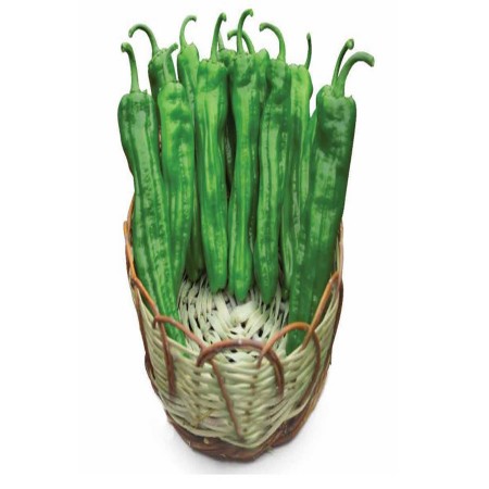 uc-991-f1-tatli-ucburun-biber