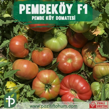 Pembeköy F1 Pembe Köy Domatesi 