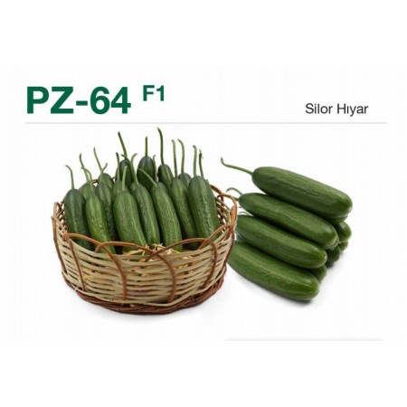 pz-64-f1-silor-hiyar-fidesi