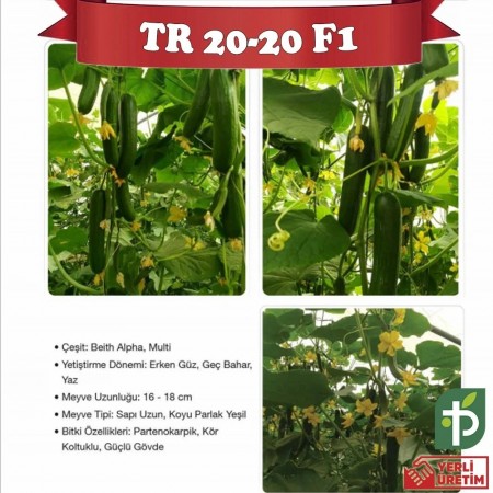 tr-20-20-f1-hiyar-fidesi