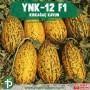 ynk-12-f1-kavun-fidesi